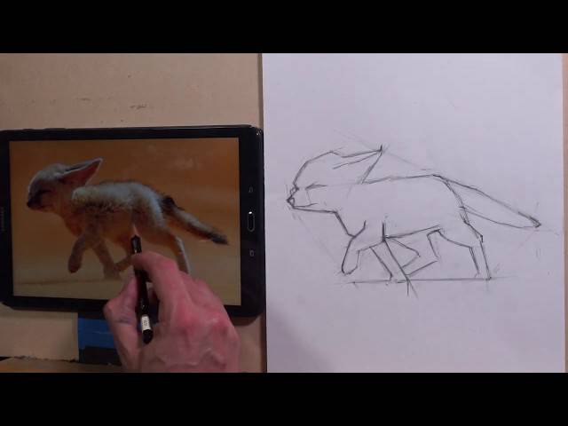 A Fox Drawing