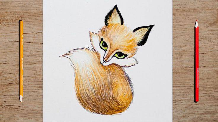 Beautiful Fox Drawing