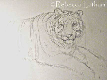 Black And White Drawing Of A Tiger