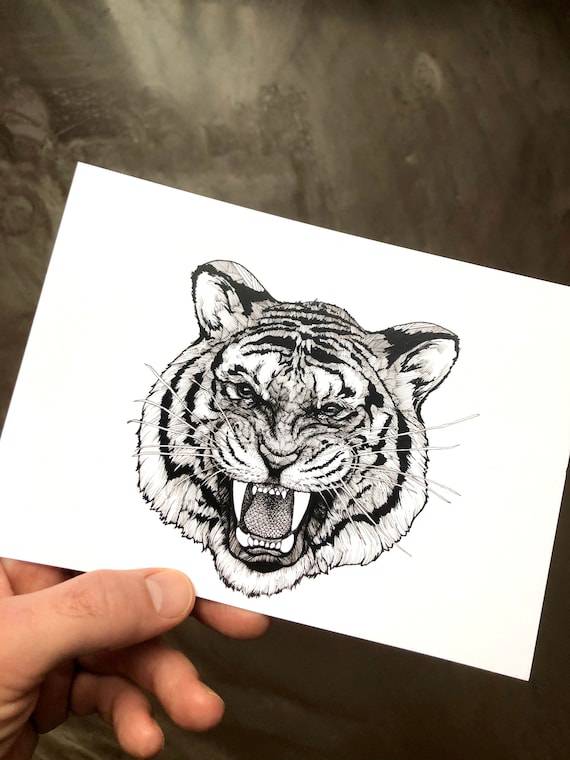 Cartoon Tiger Face Drawing Easy
