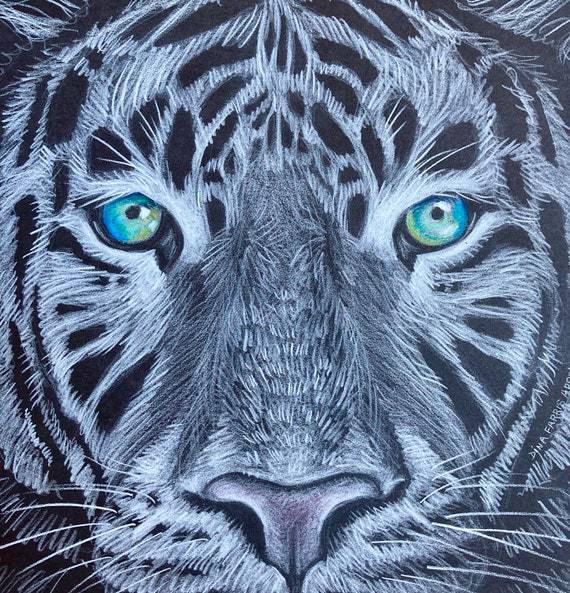 Charcoal Tiger Drawing