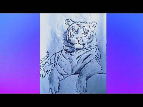Cool Saber Tooth Tiger Drawing