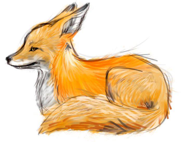 Cute Fox Drawing Easy