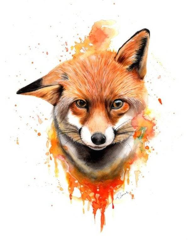 Cute Fox Face Drawing