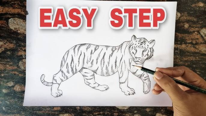 Cute Tiger Cub Drawing