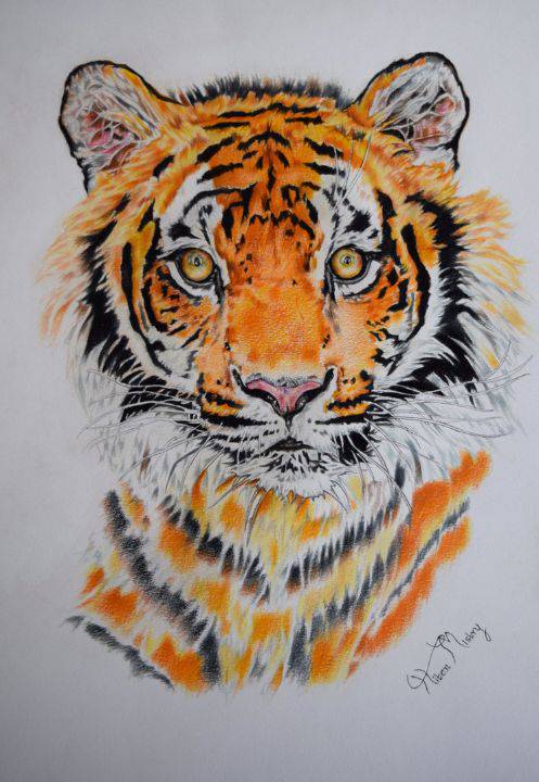 Cute Tiger Face Drawing Easy