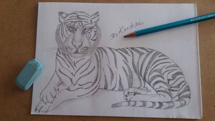 Draw A Tiger Face Easy