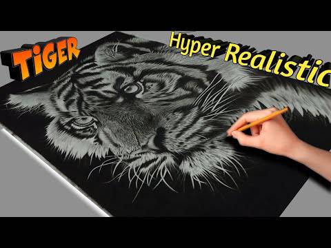 Draw Tiger Easy Step By Step