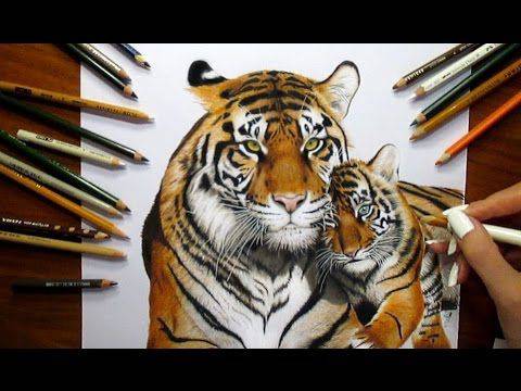 Draw Tiger Eye