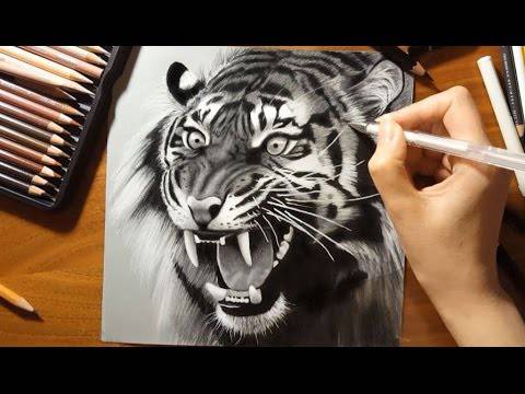 Drawing Of Face Of Tiger