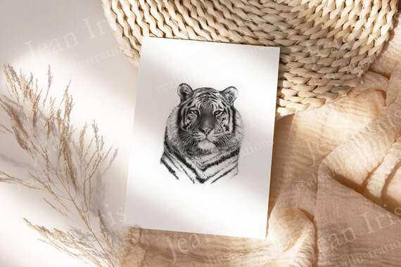Drawing Tiger Cub