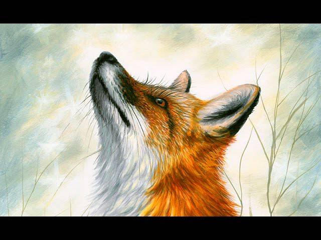 Fox Alebrije Drawing