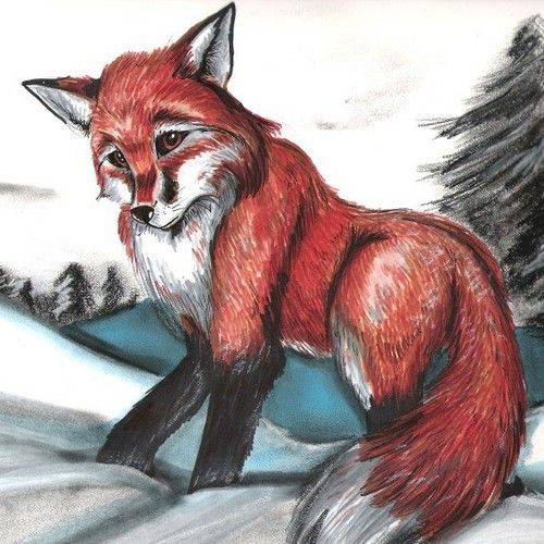 Fox Animal Drawing Easy