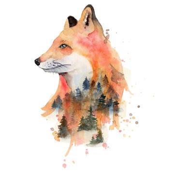 Fox Drawing With Color