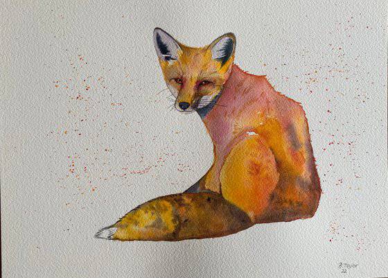Fox Paw Drawing