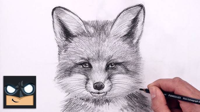 Fox Terrier Drawing