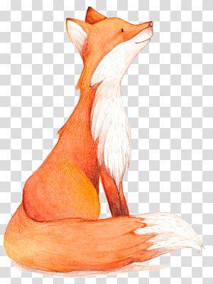 Realistic Drawing Of A Fox