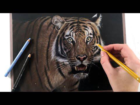 Tiger Drawing Cute