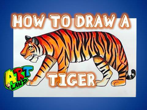 Tiger Sketch Step By Step